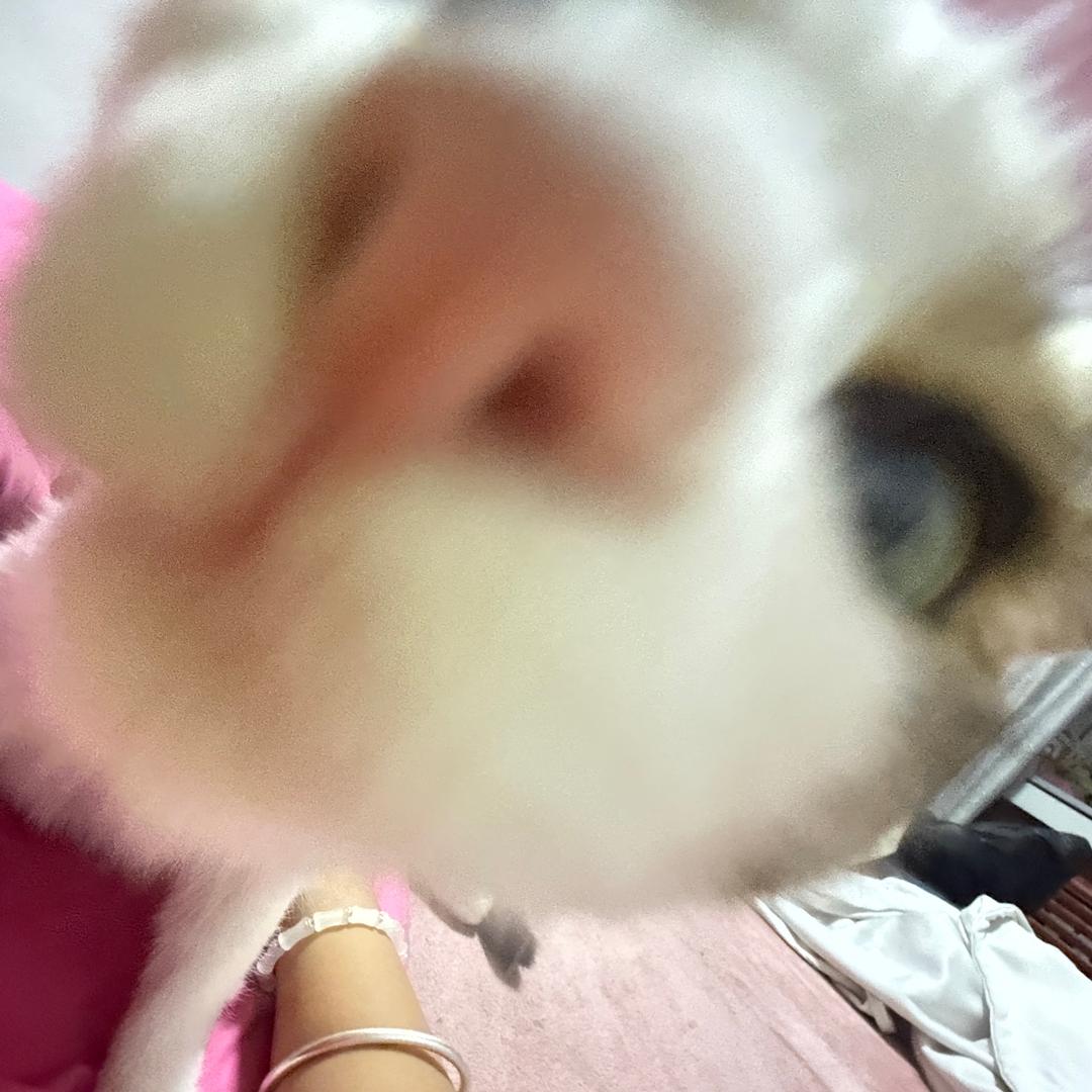 zz