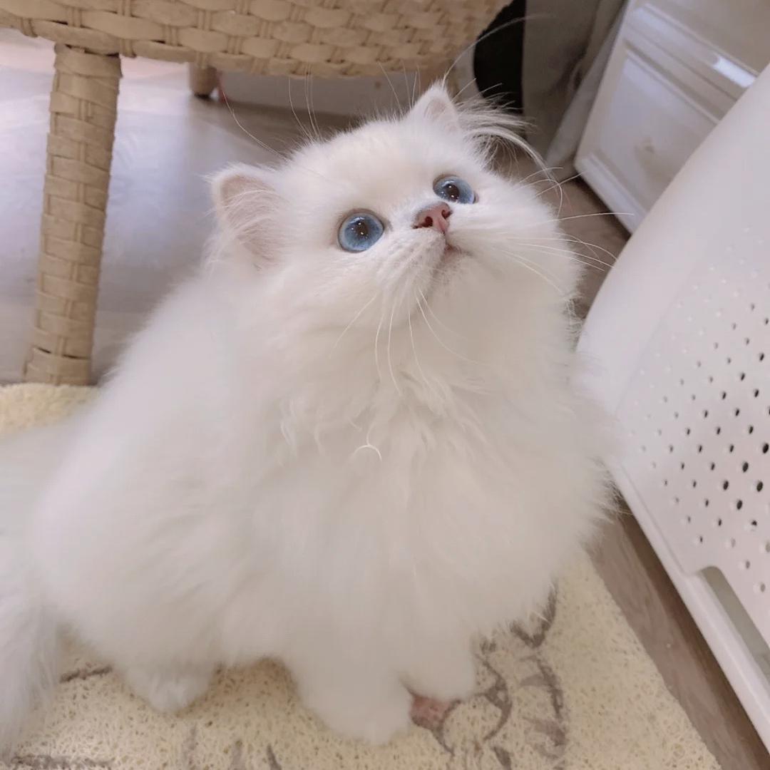亮