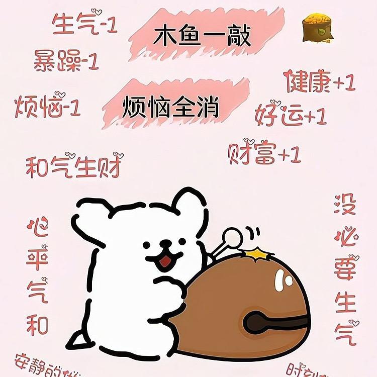 💕萍萍💕