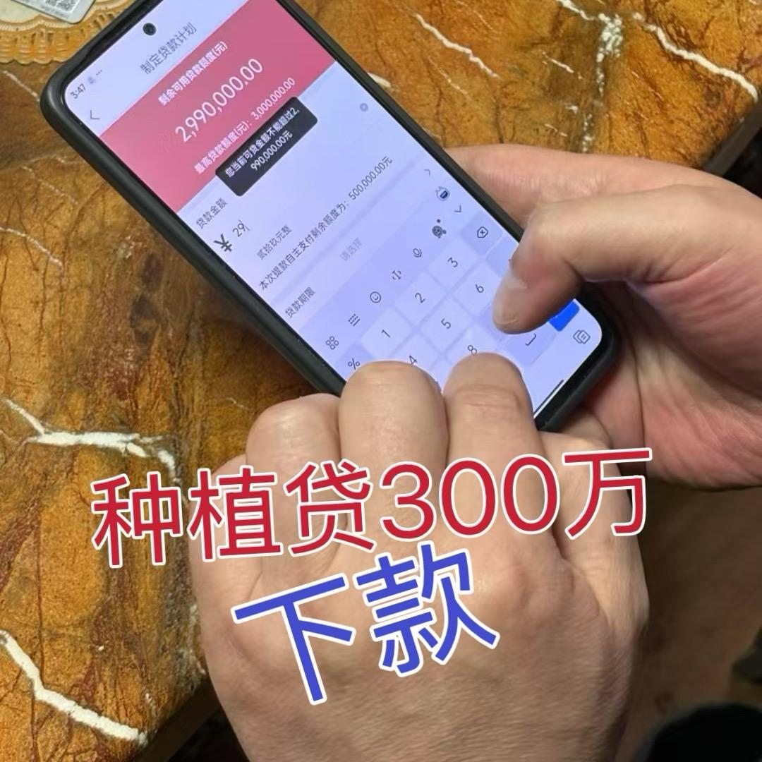 威海米行 ~行长