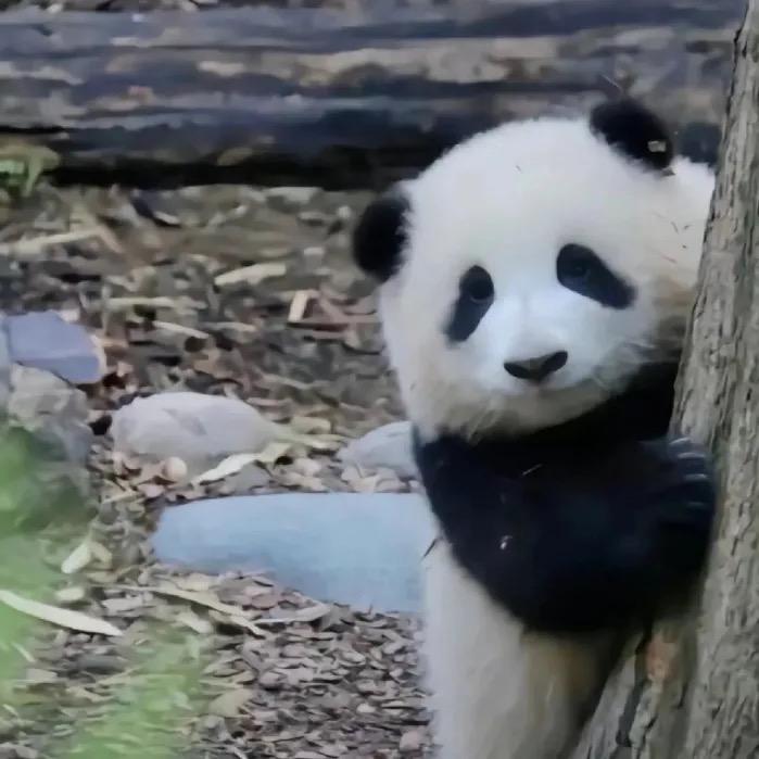 亿童乐（南湖路99号）