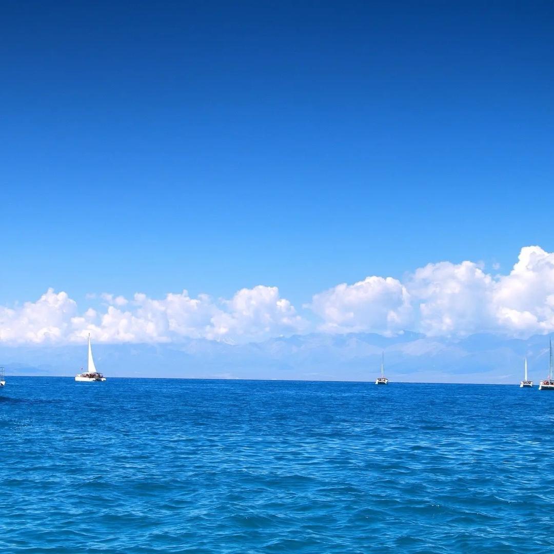 沅沅