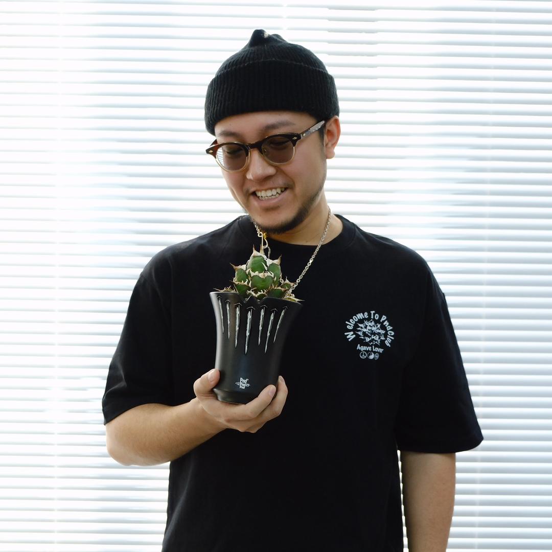 Ray叔玩块根