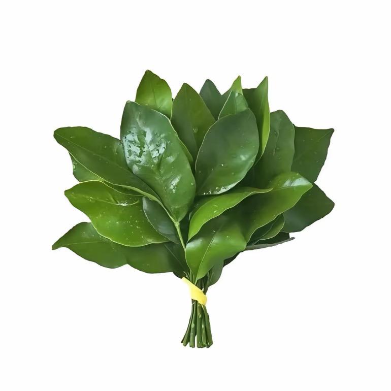 今天不吃青提
