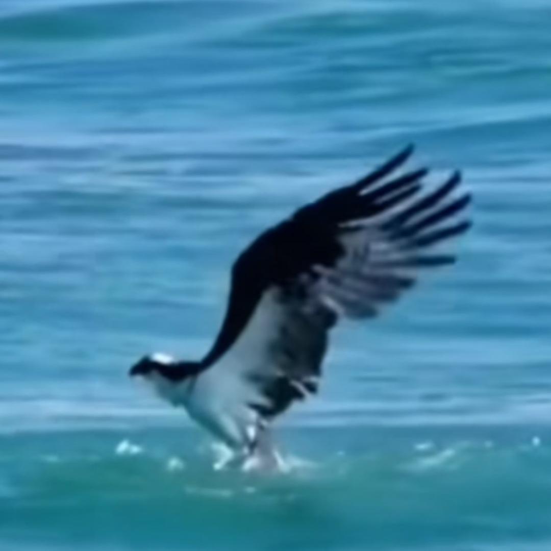 寻寻觅觅I Iman Ishie