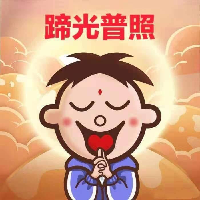 好科学（拆卡版