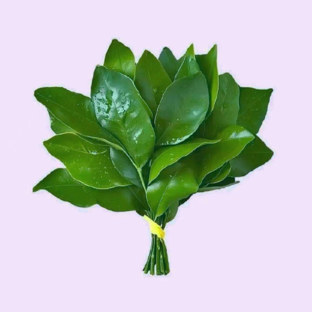 贪吃晶and暖宝