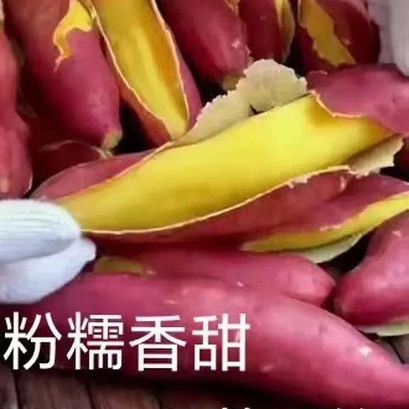东方果园农产品