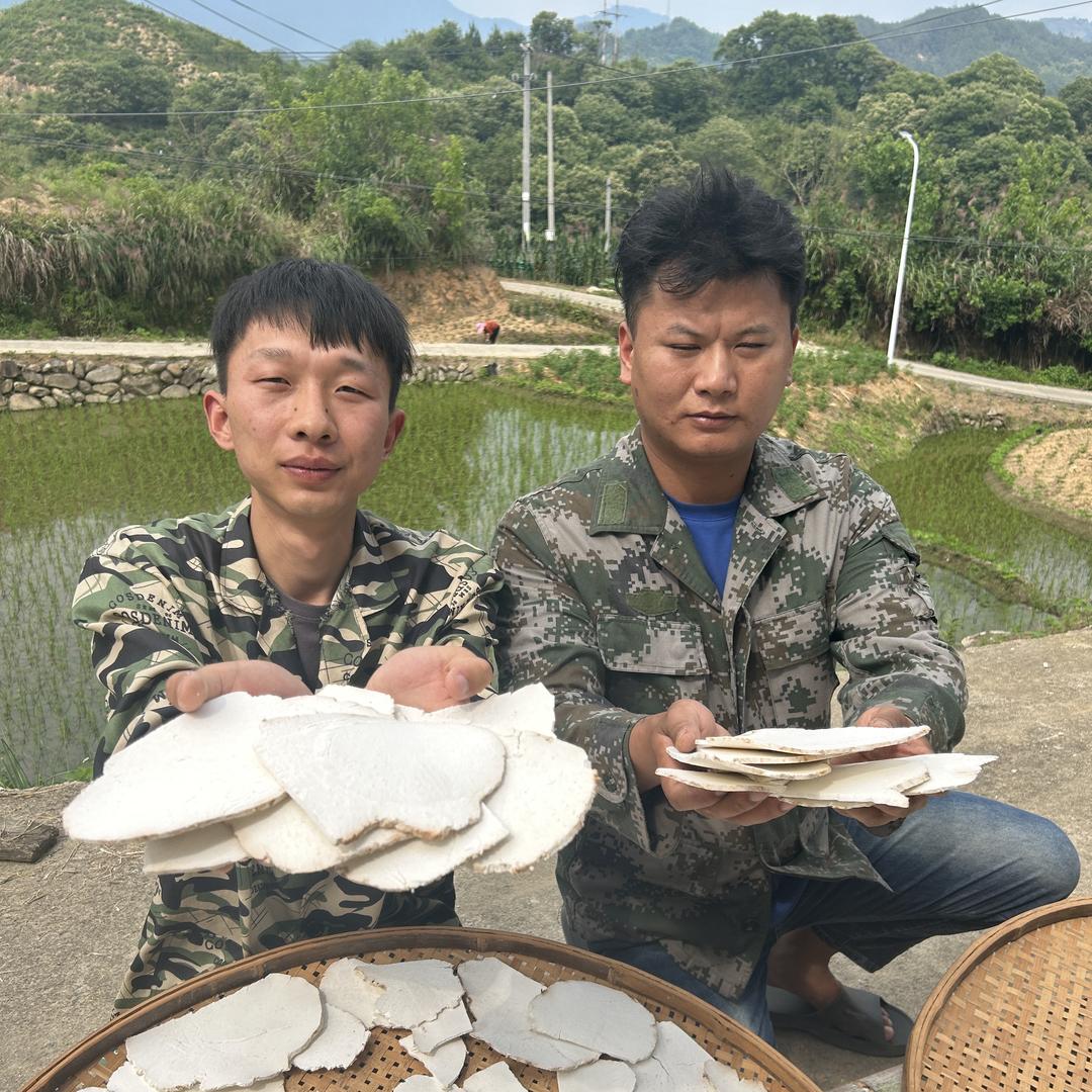 茯二代家的茯苓岳西茯苓