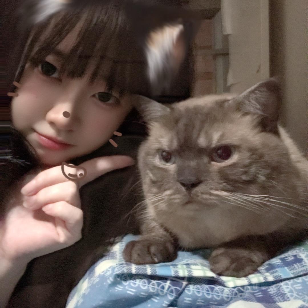 欣Baby🐾