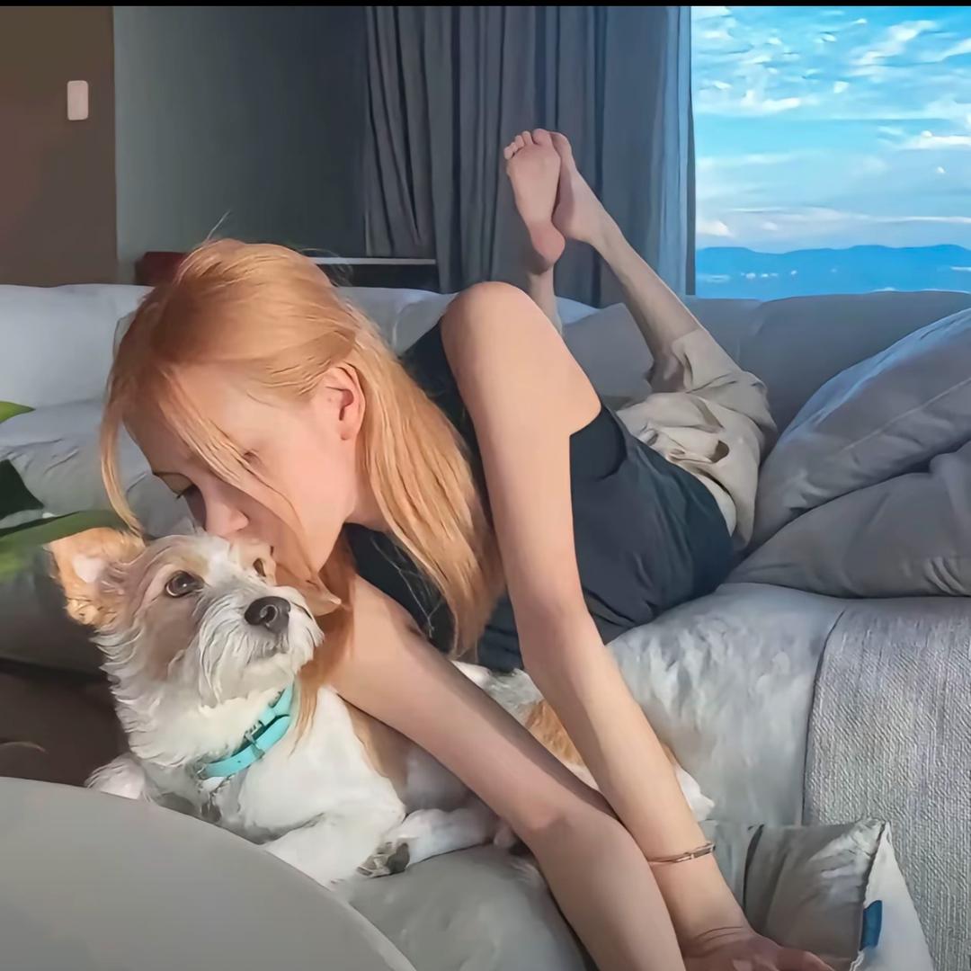 冬天的瓜