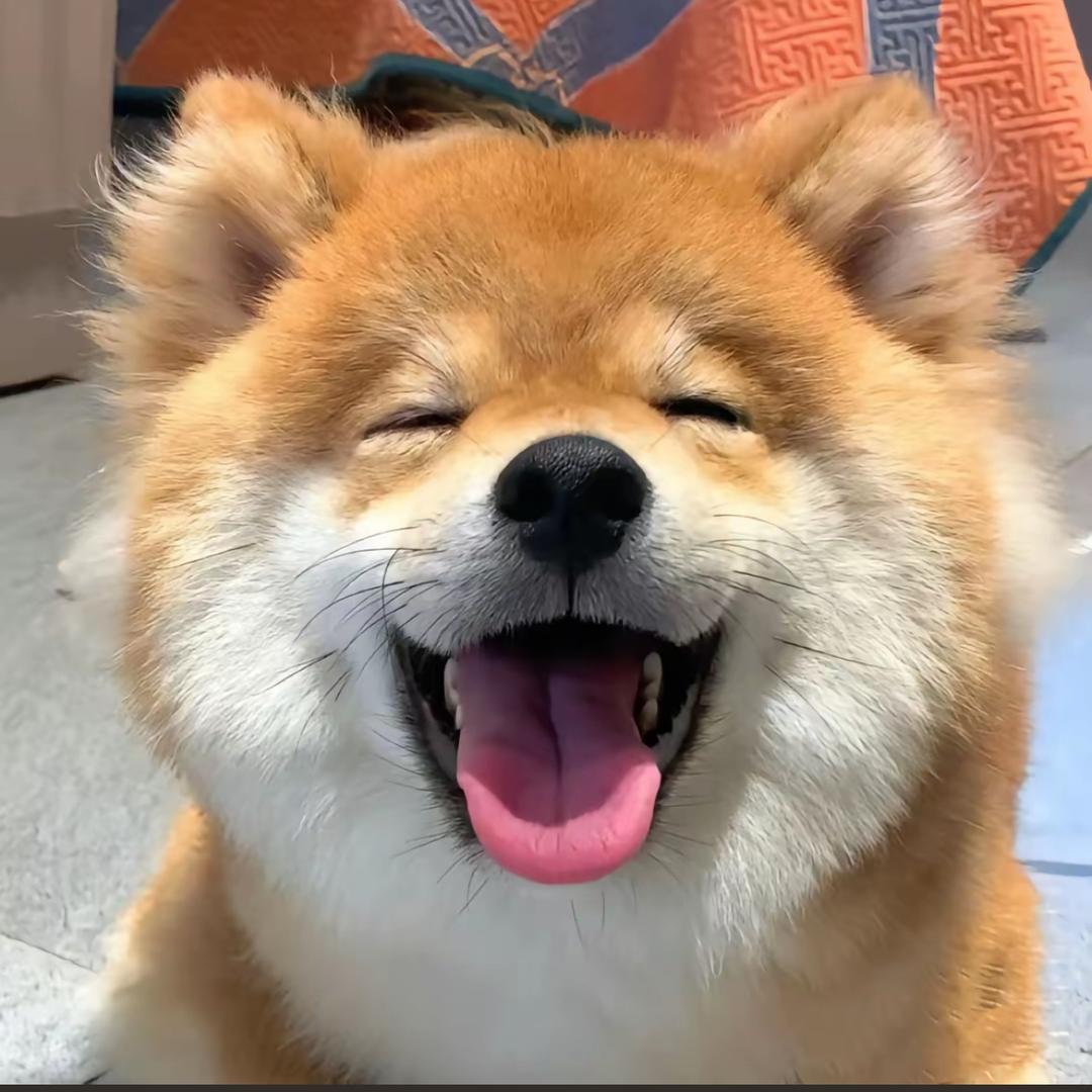 山不见海