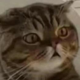 预见
