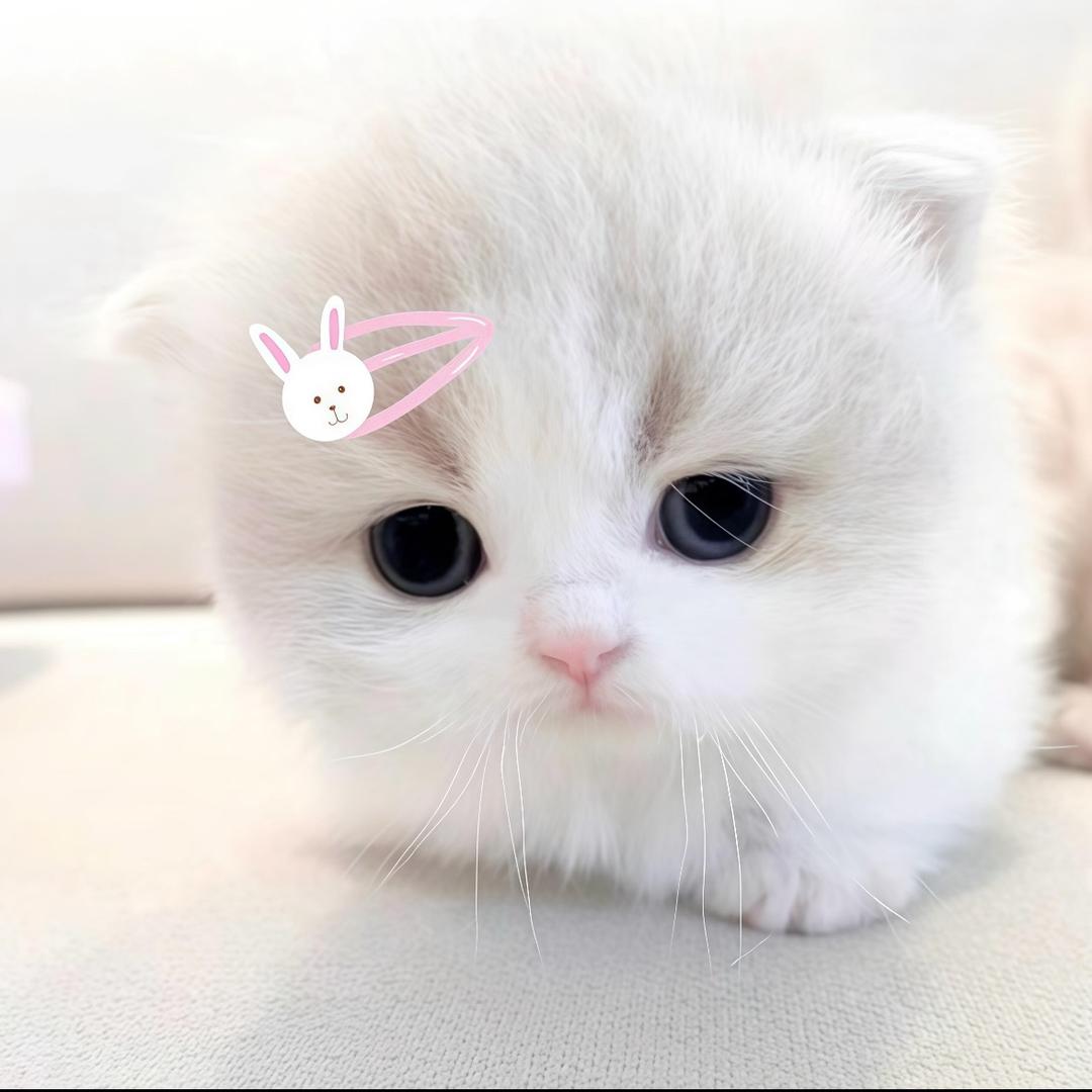CaTwTu
