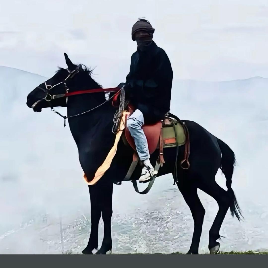 16🐎🐎🐎