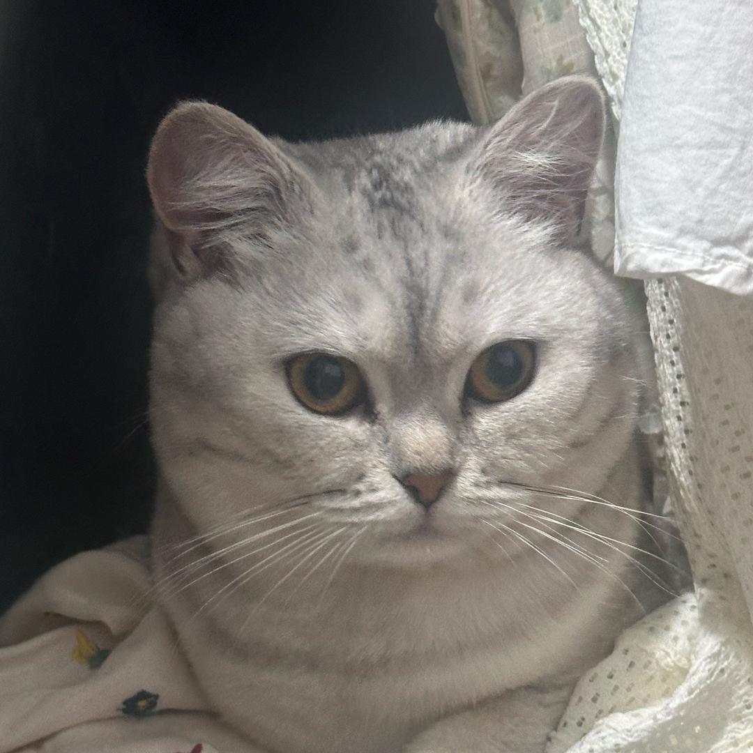 小姚要加油