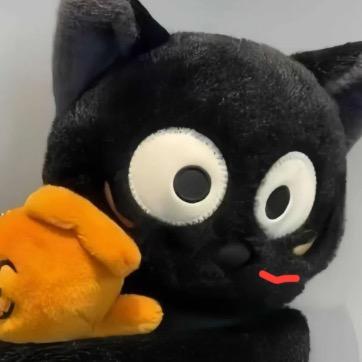 不可以摸我头🫸