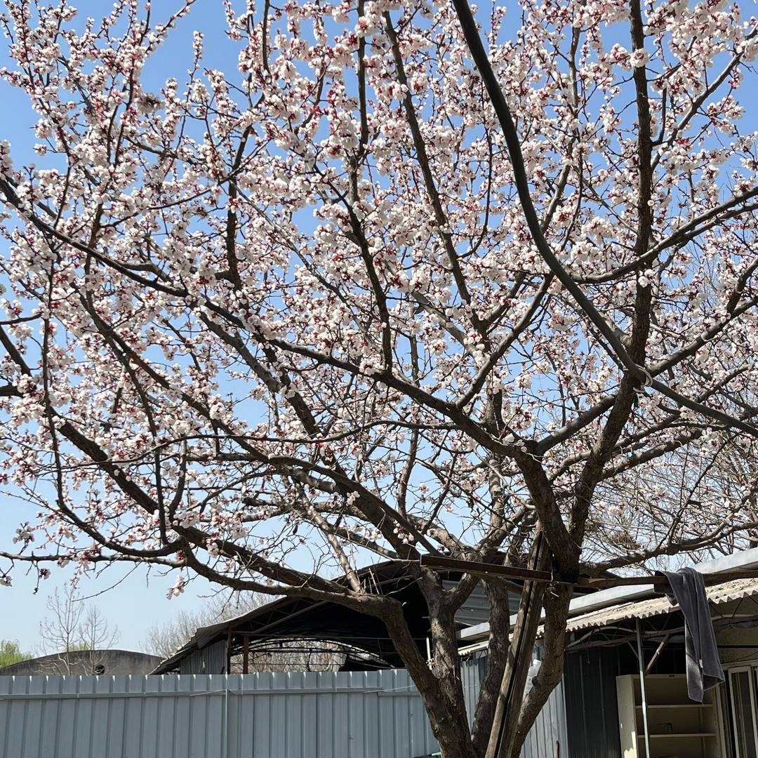 西安庆来物资回收利用有限公司