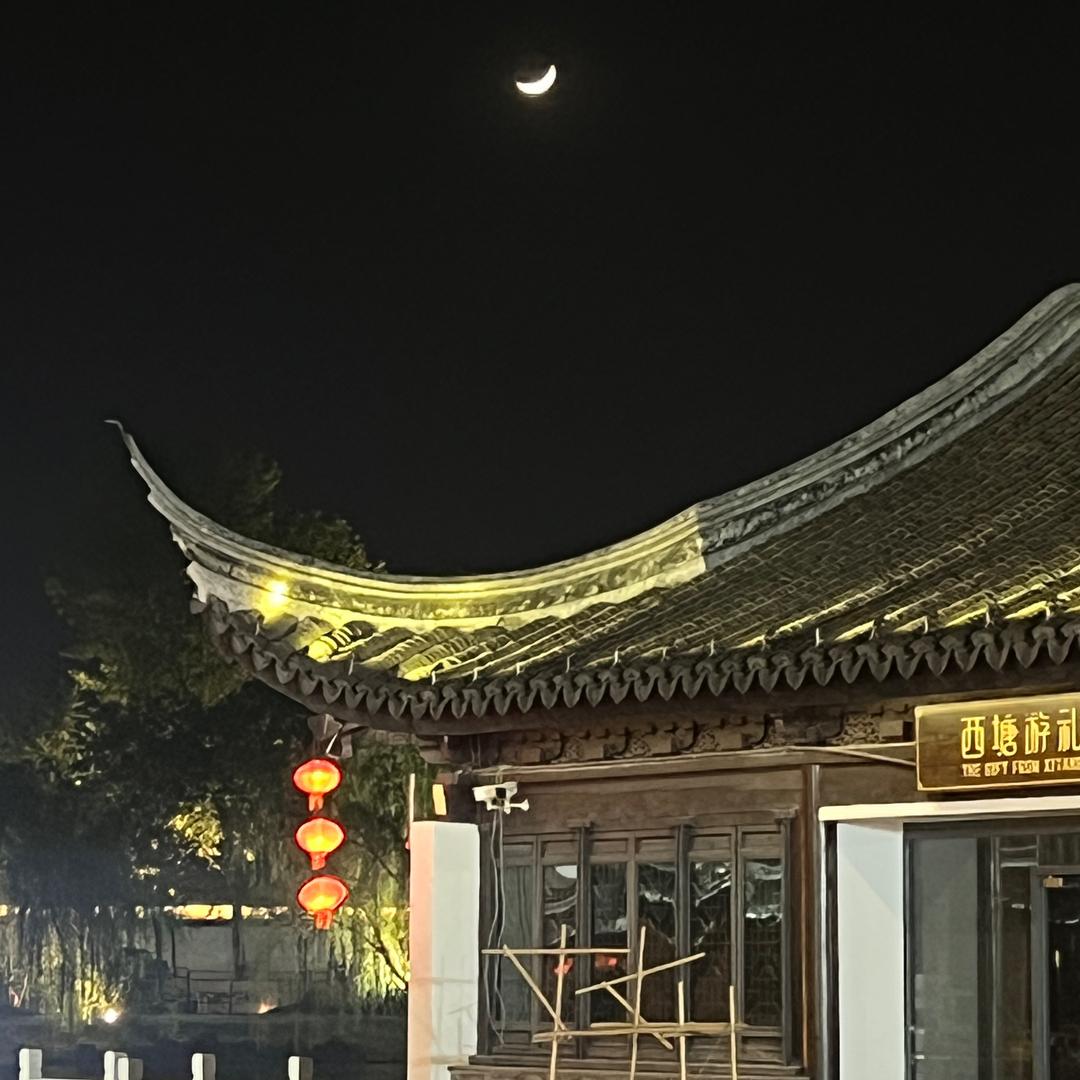维他柠檬茶