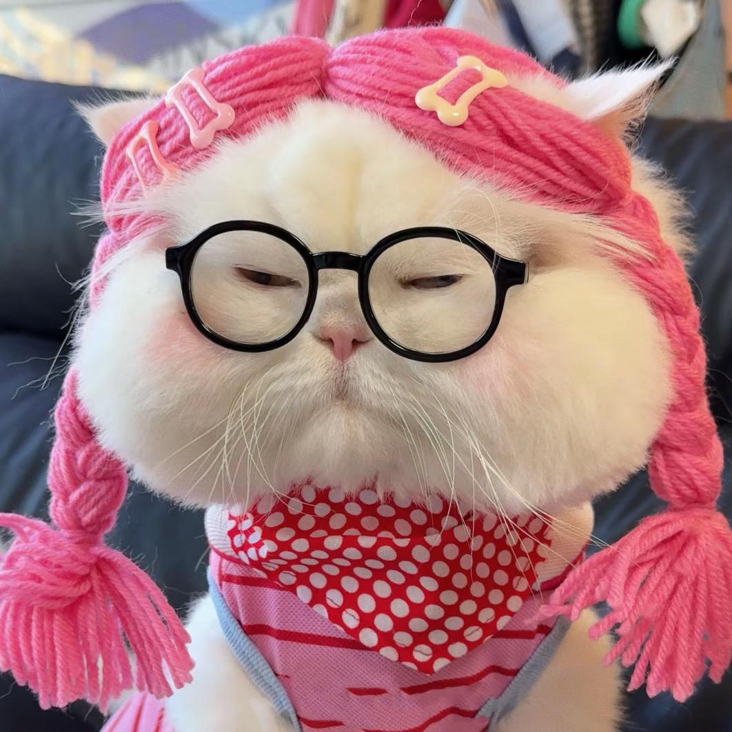 你的居居公主🦖