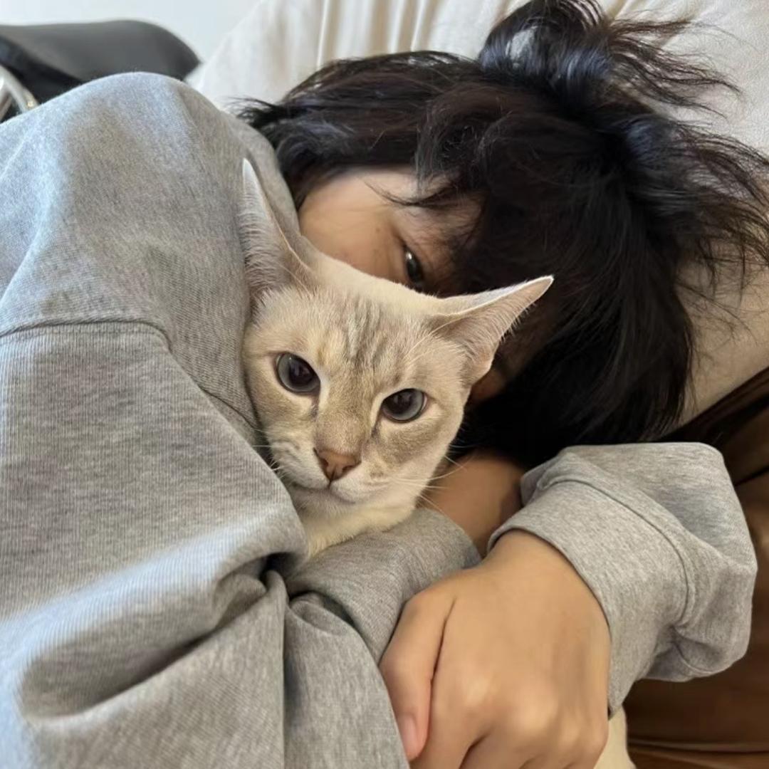 皮什么蛋