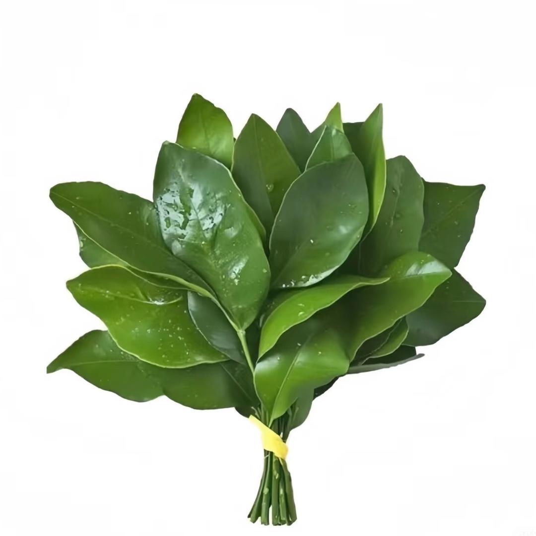 刘熹熹