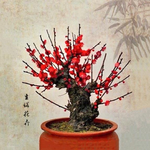生诺花卉盆景园艺