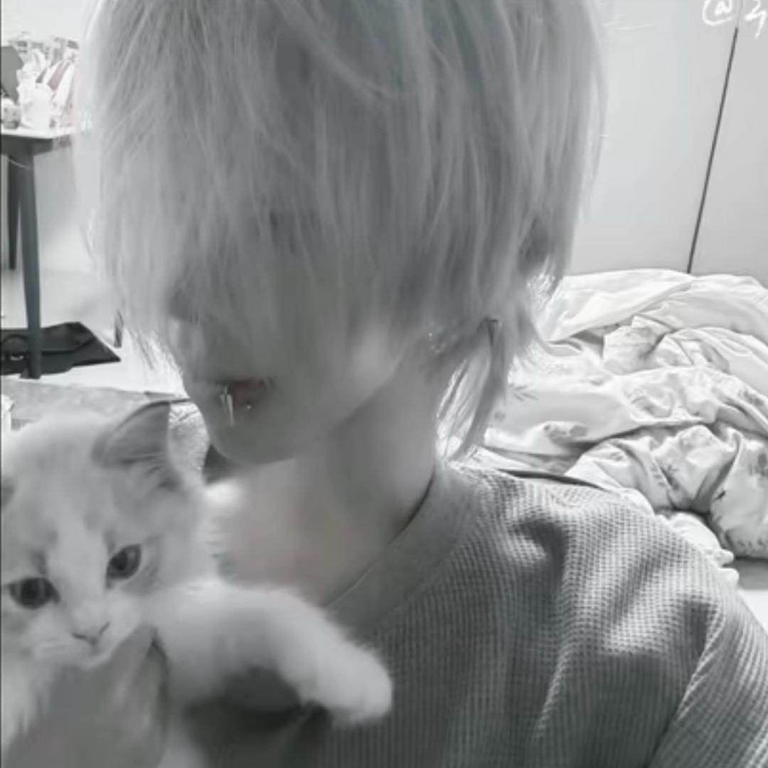 端木燕