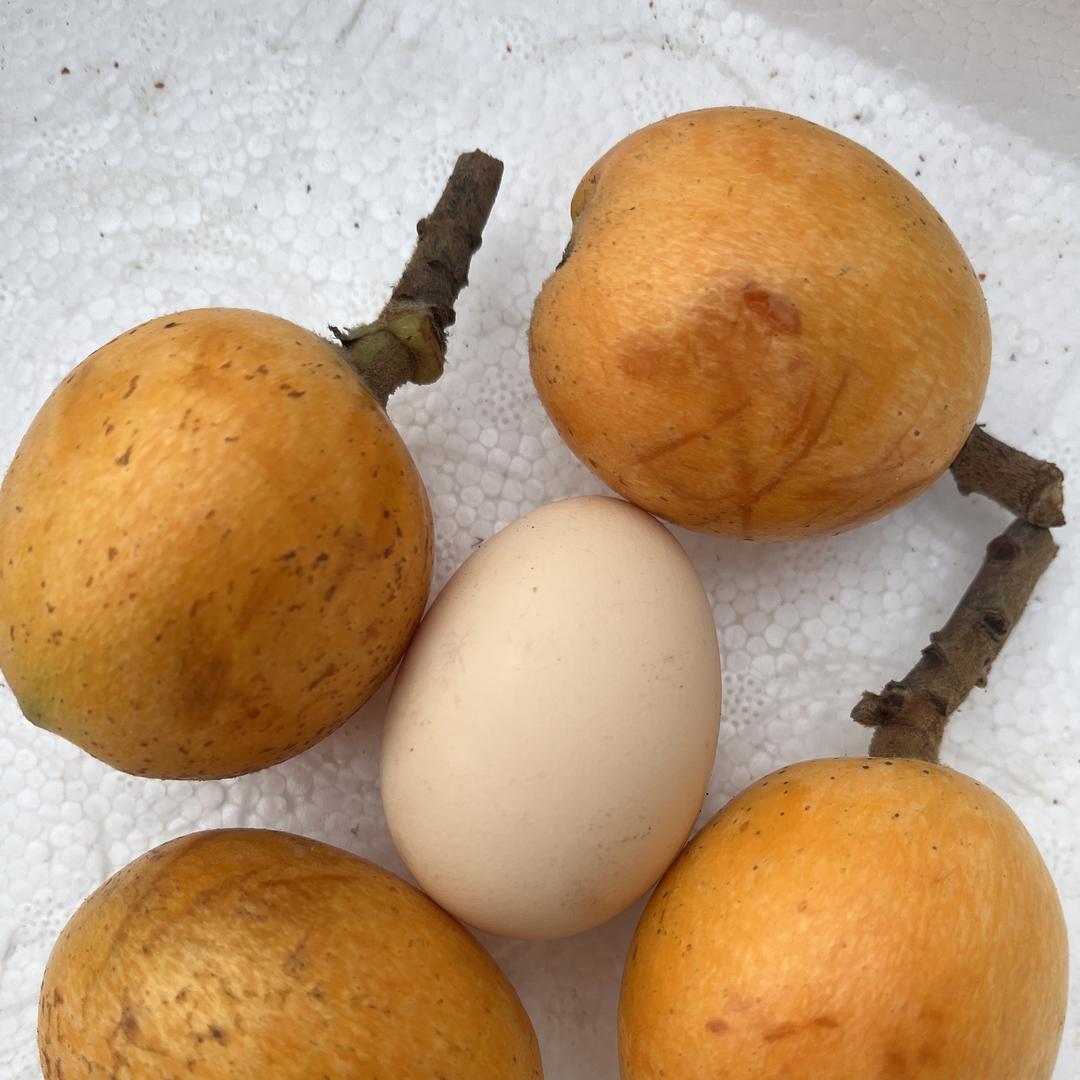 植果缘创美果树苗木专卖店