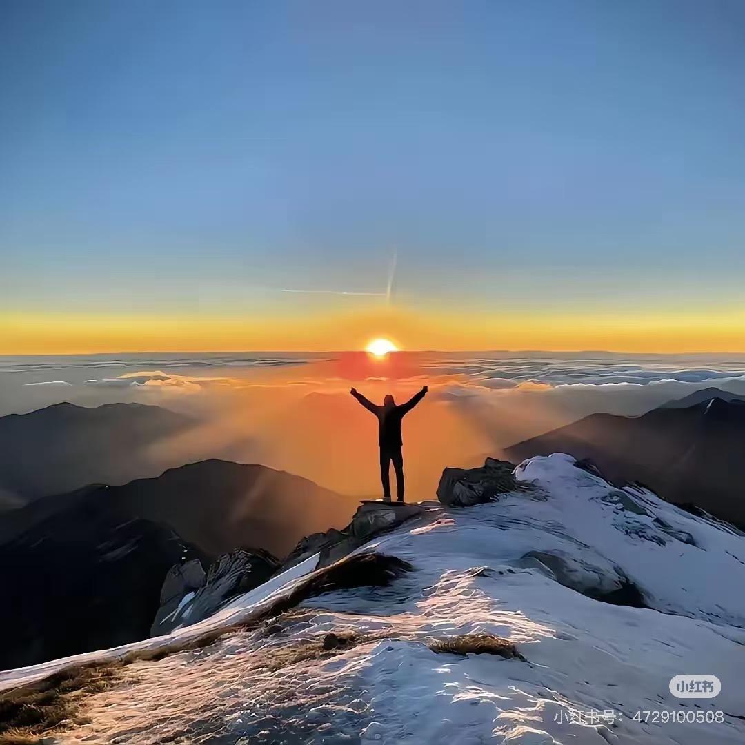 回家买点生姜🫚