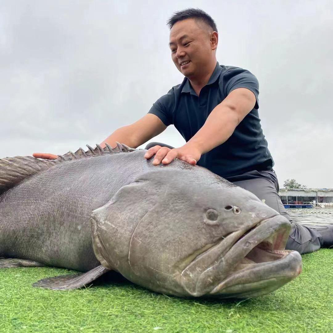 川泽李志刚