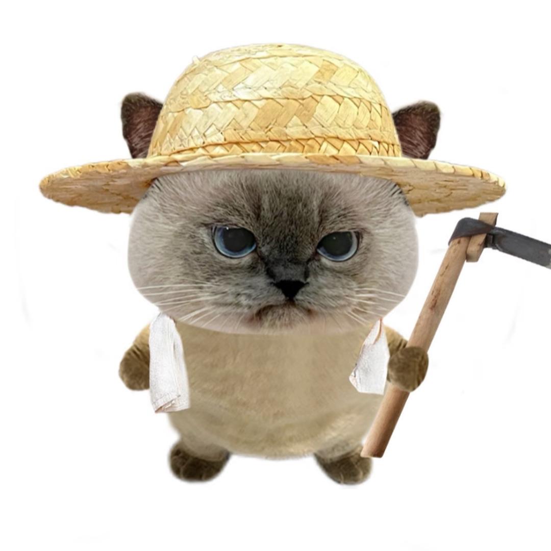 西西
