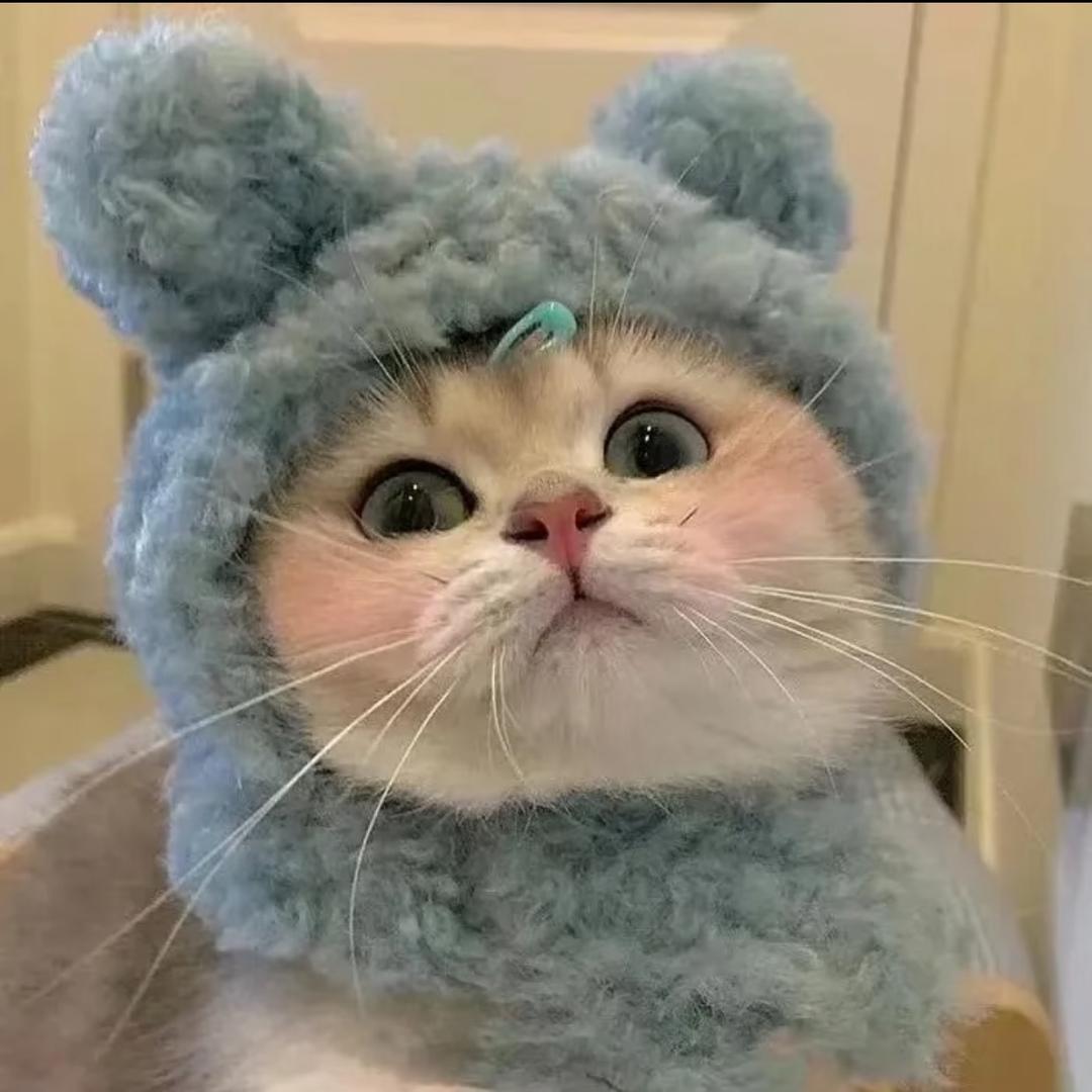 喵超人（猫meme）