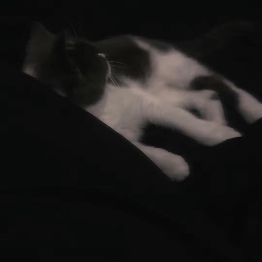 ￴￴   ￴ ￴ ￴￴￴