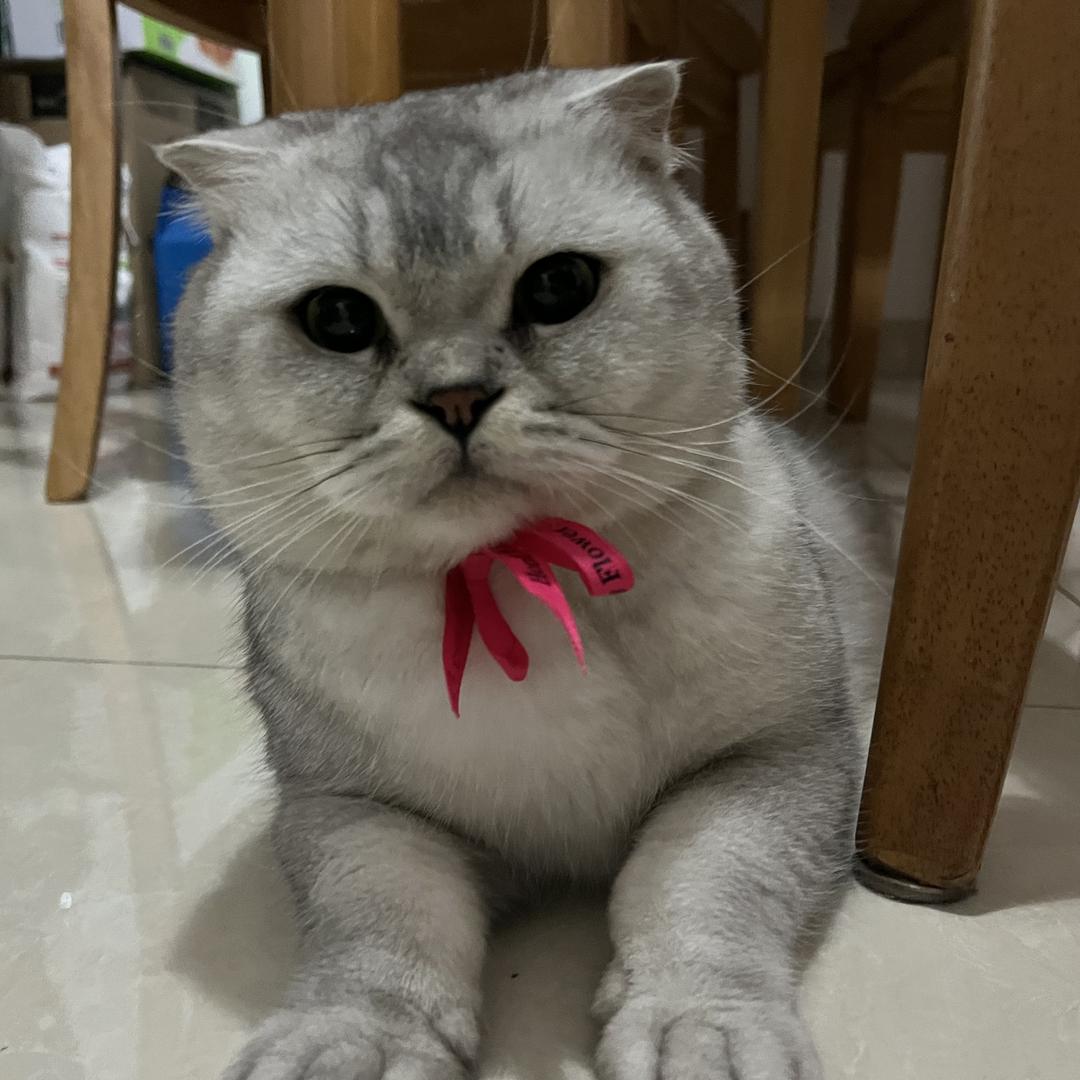宝妈港湾产后修复(五一广场店)