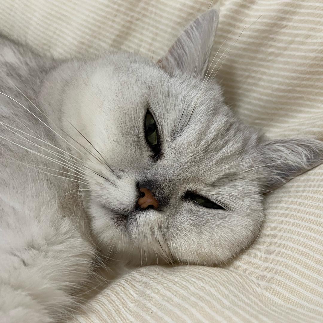 Hiro先生日语教室