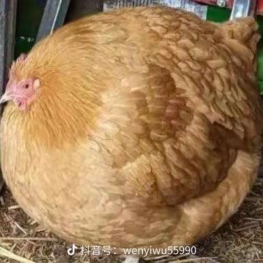 👾🎃☠️🤡🤡