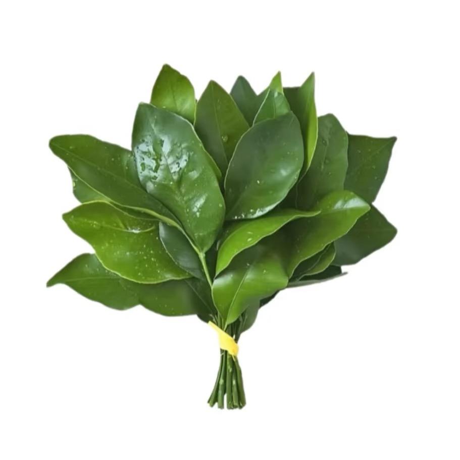 株洲碰胡（友旗）