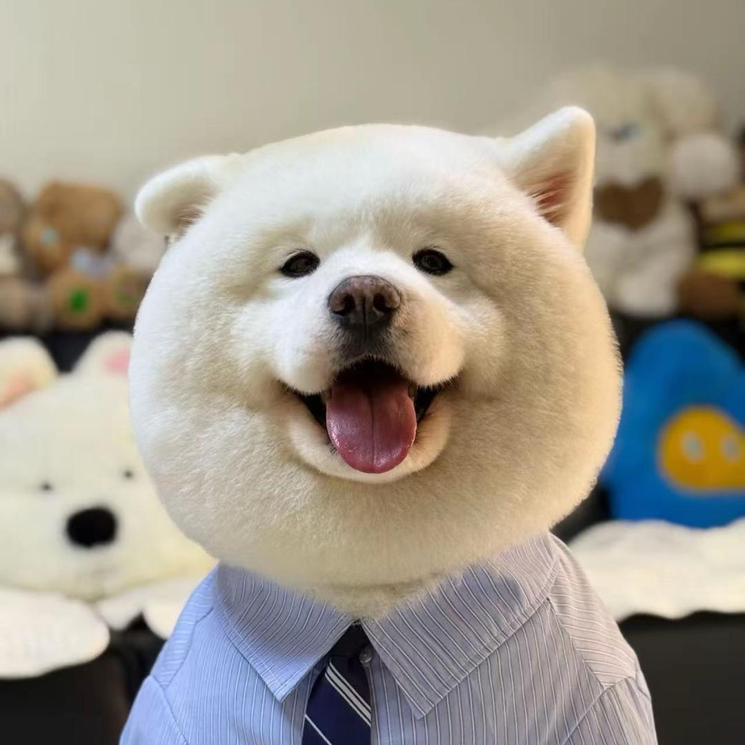奔跑的猪蹄子