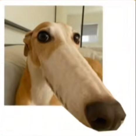闪亮的林珑