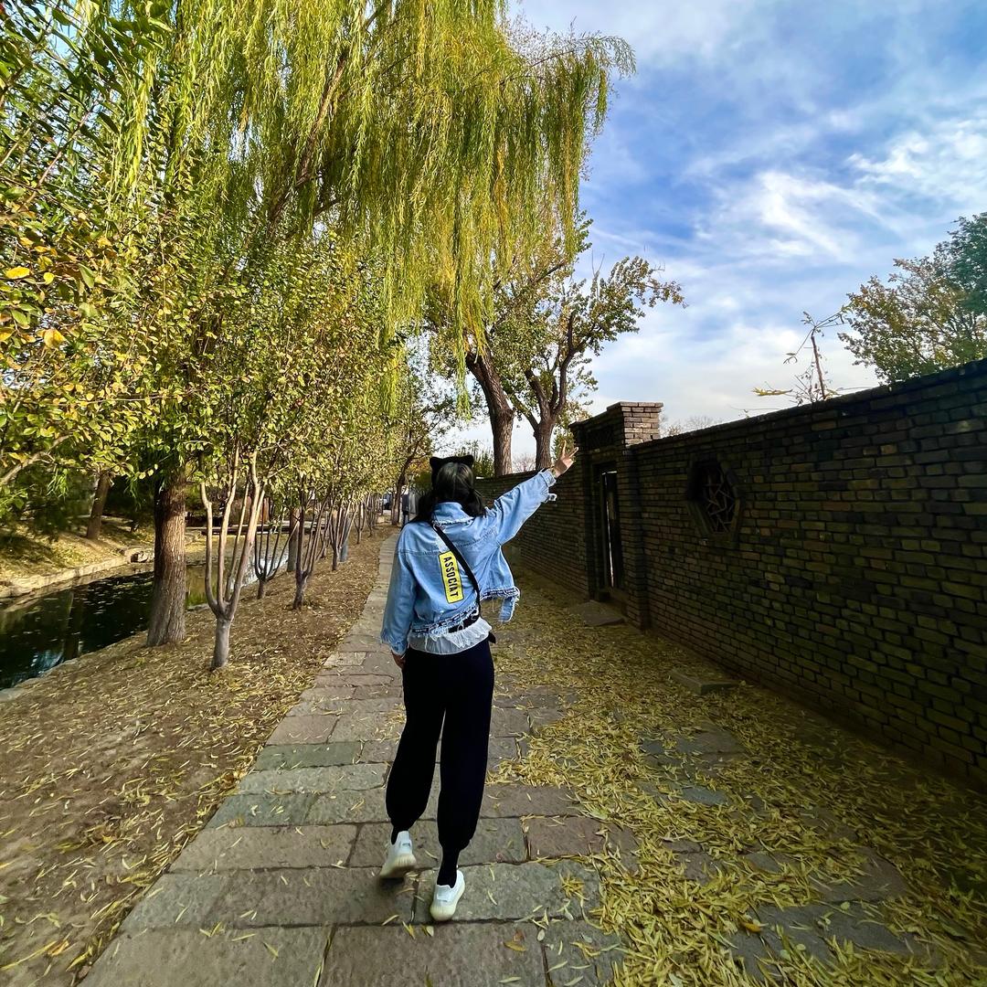 🐈哆拉咪子王小喵🎤🐈