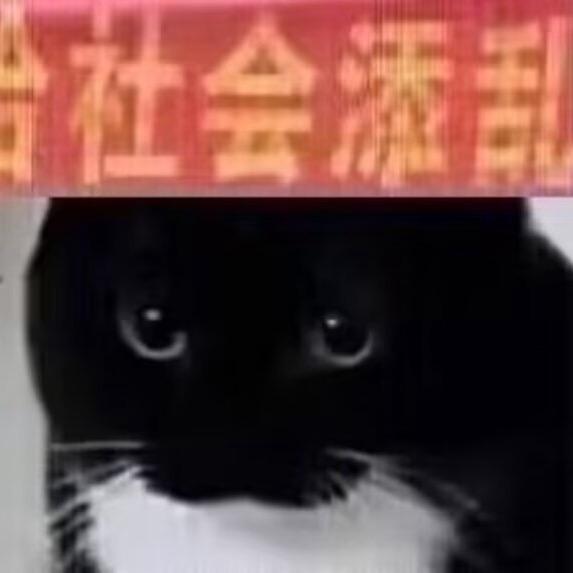 为男人倾家荡产下海当牛郎那个雨夜