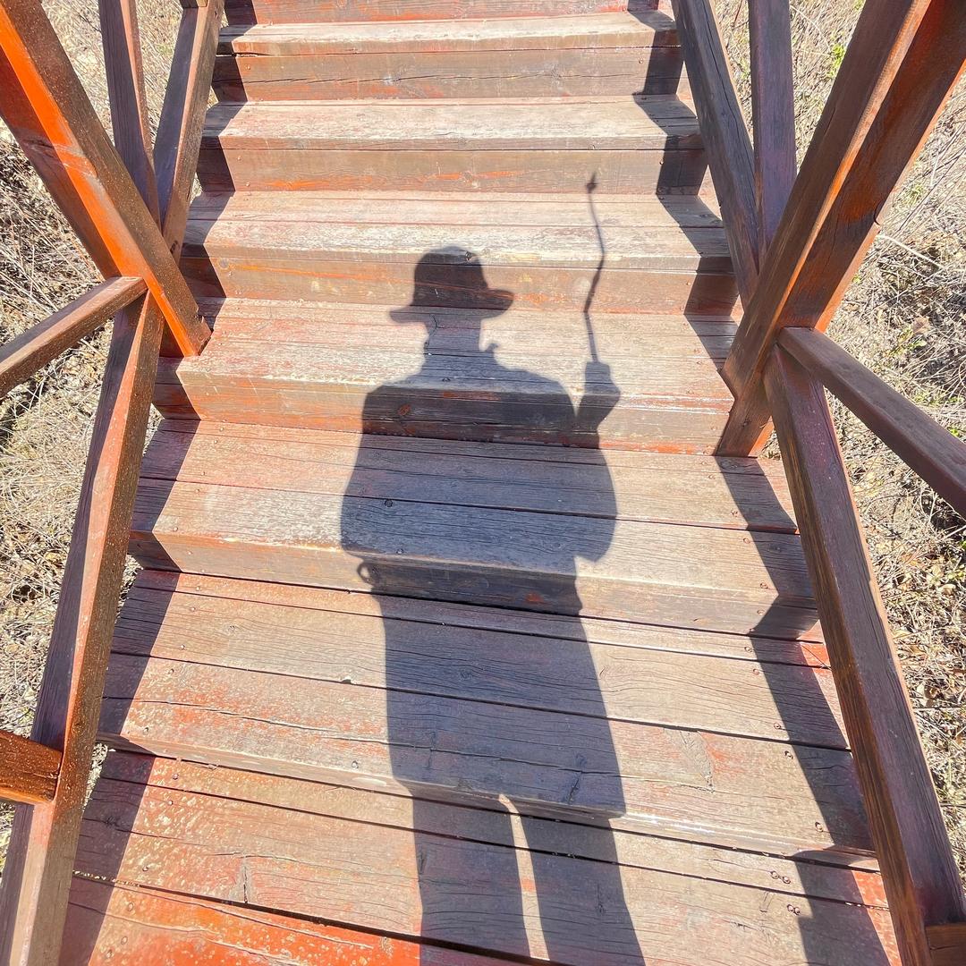 飞哥的半熟人生