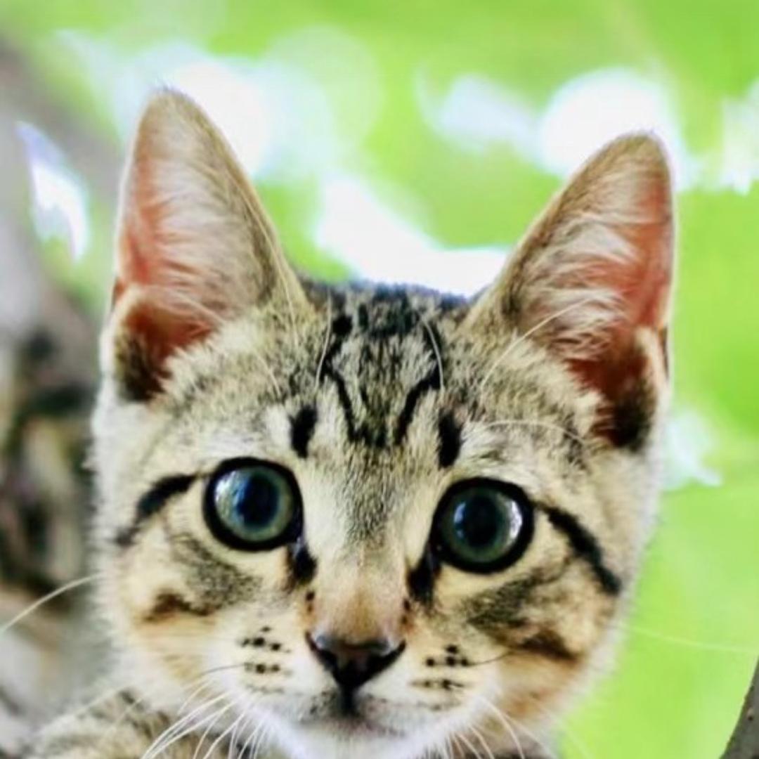 莫莫莫莫莫莫莫