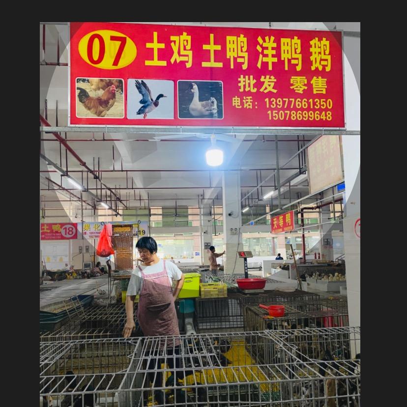 平果鸭王