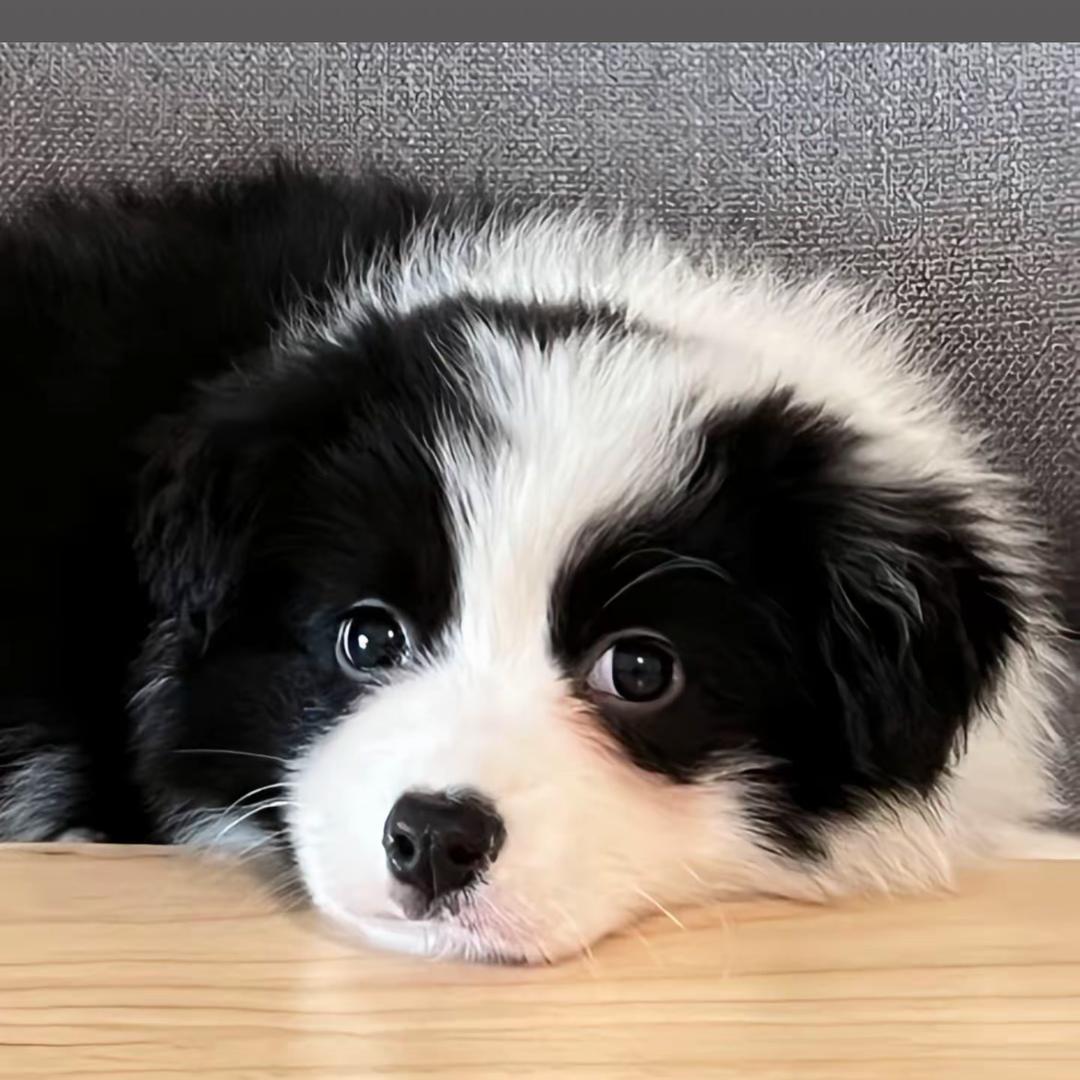 致酒库(寿丰街019店)郑州焦店生活号