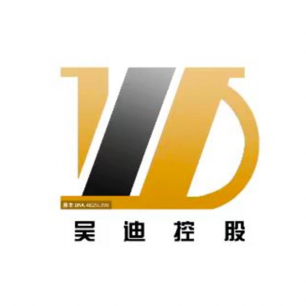 吴迪控股