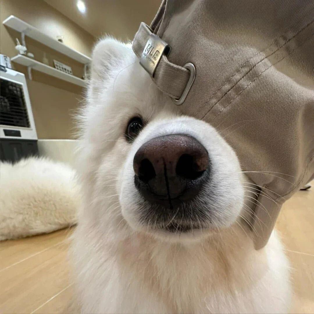 房租费