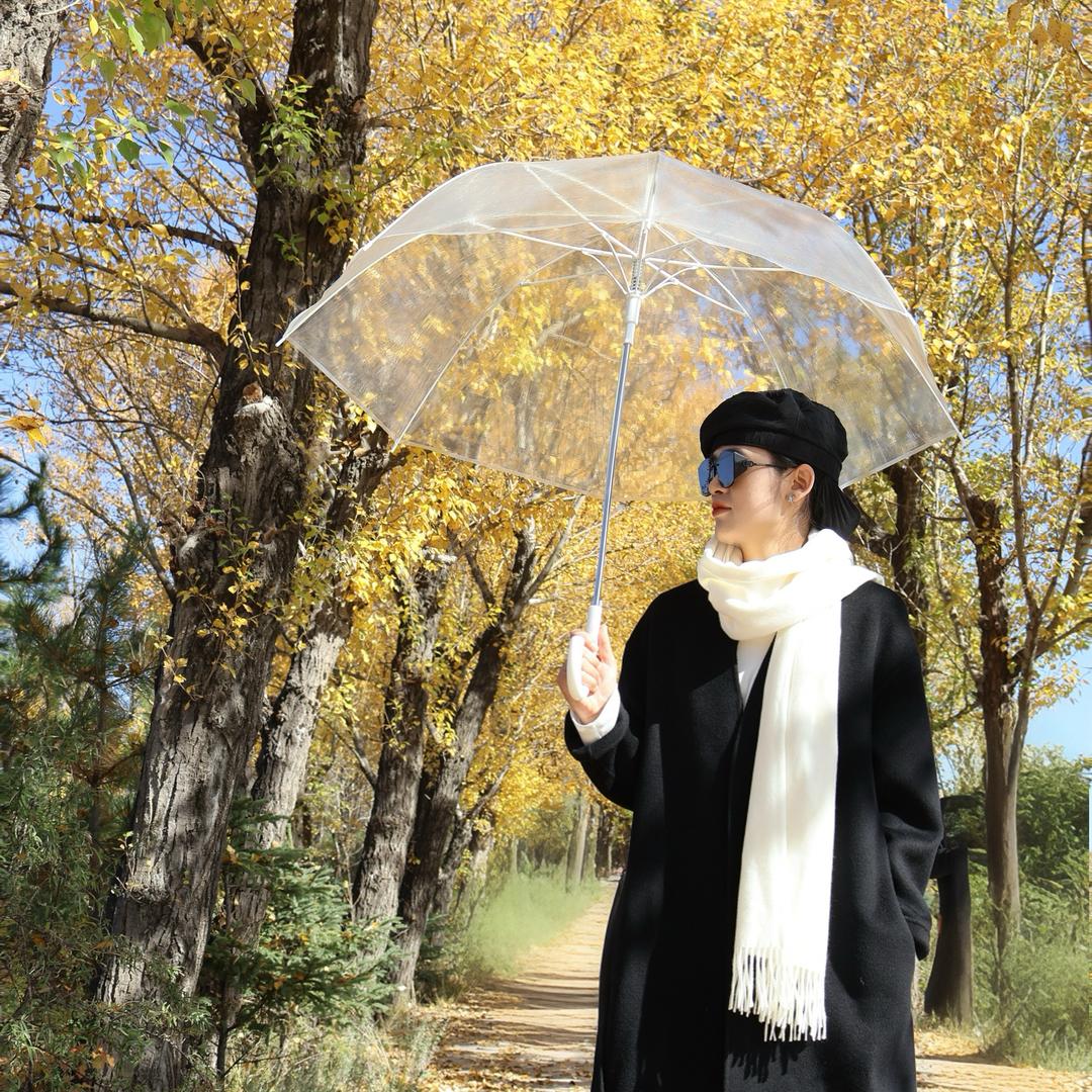 康乐迪卡轩&安素尚