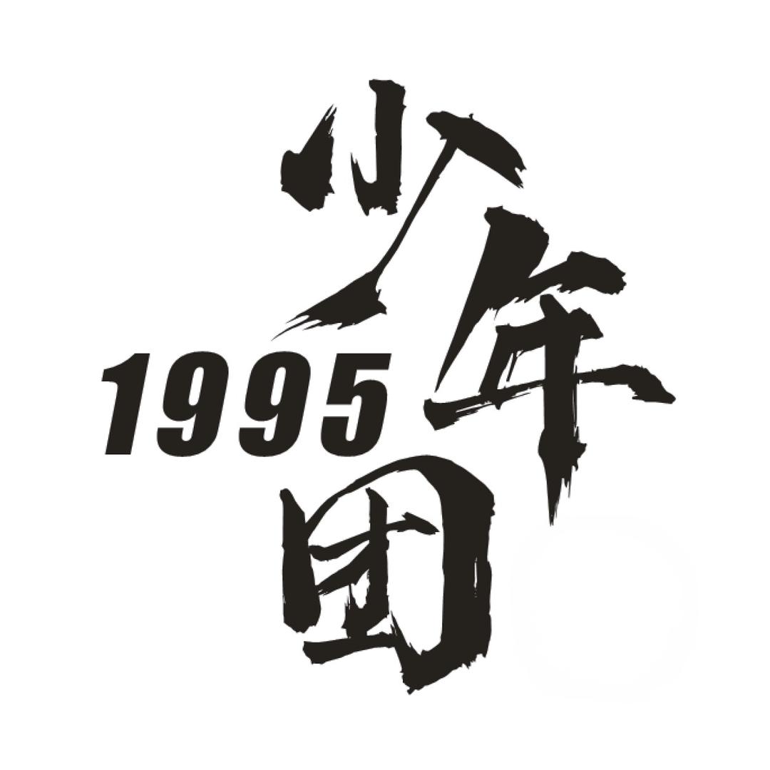 1995少年团